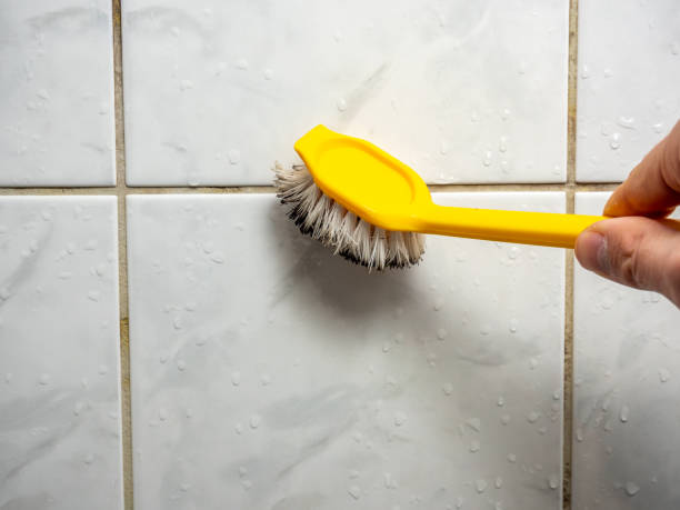 Best Commercial Mold Removal  in Pauls Valley, OK