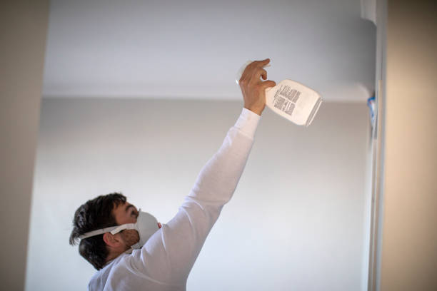 Best Black Mold Removal  in Pauls Valley, OK
