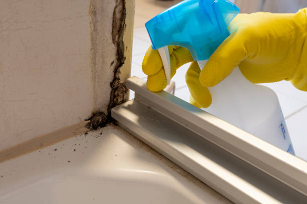 Best Crawl Space Mold Removal  in Pauls Valley, OK