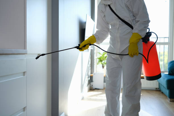 Best Mold Cleaning Services  in Pauls Valley, OK