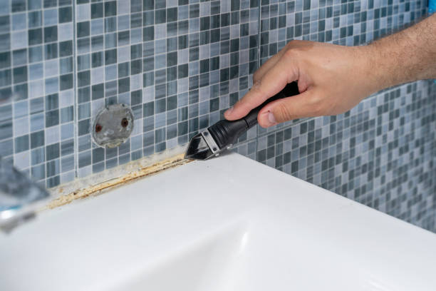 Best Best Mold Removal Companies  in Pauls Valley, OK